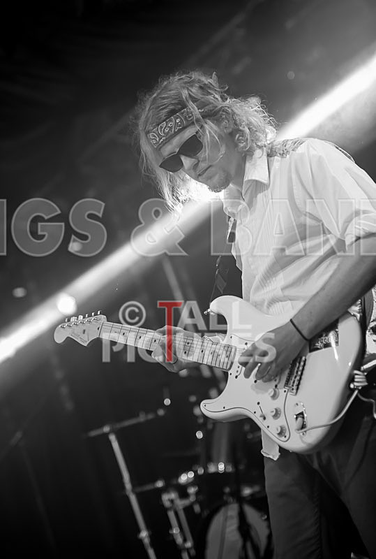 Rat Salad-11 - RAT SALAD