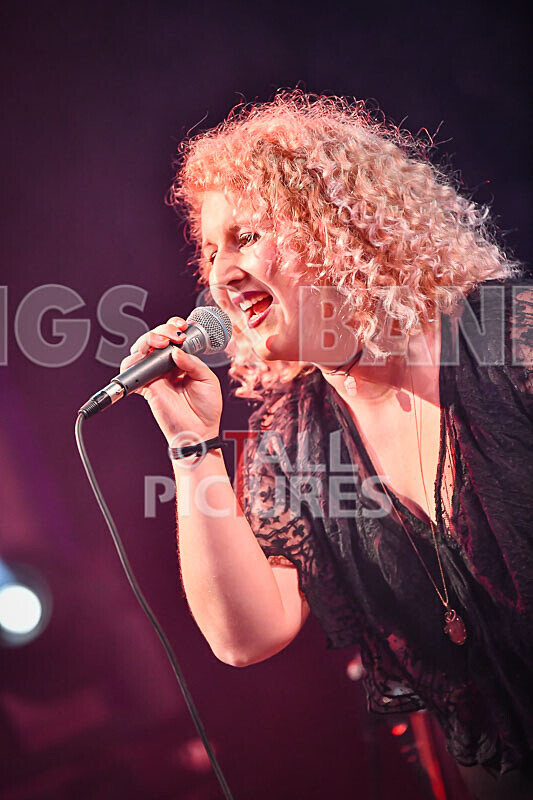 Jo Marsh-3 - THE GUESTS