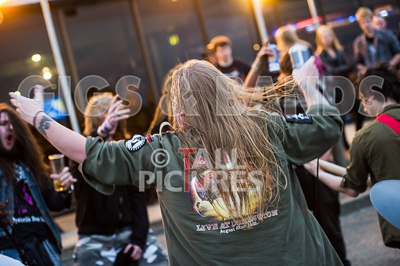 Stone Em All-141 - STONE EM ALL