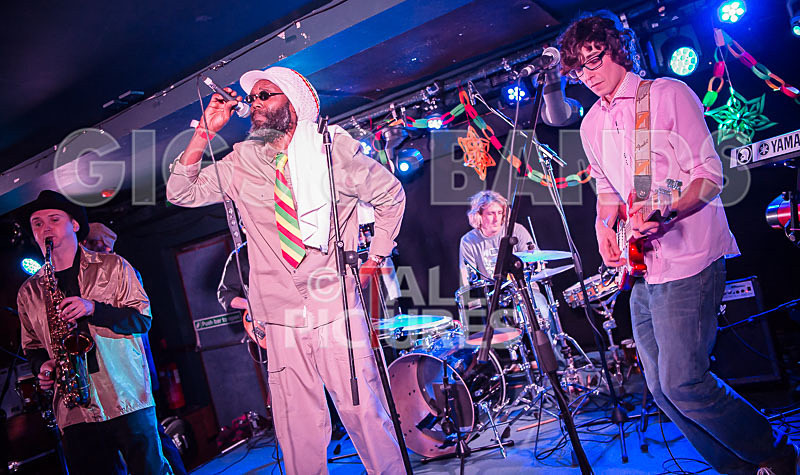 Tall Rich at the Fermain Tavern-33 - TALL RICH