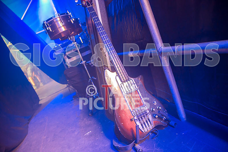 Vale Earth Fair 2017_SCENE-113 - VALE EARTH FAIR 2017_THE SCENE