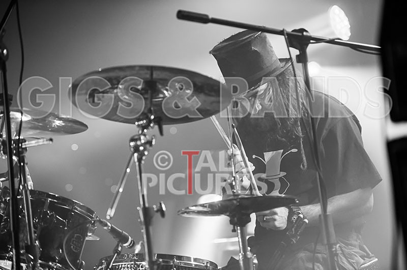 Peppered Ant Legs-193 - PEPPERED ANT LEGS