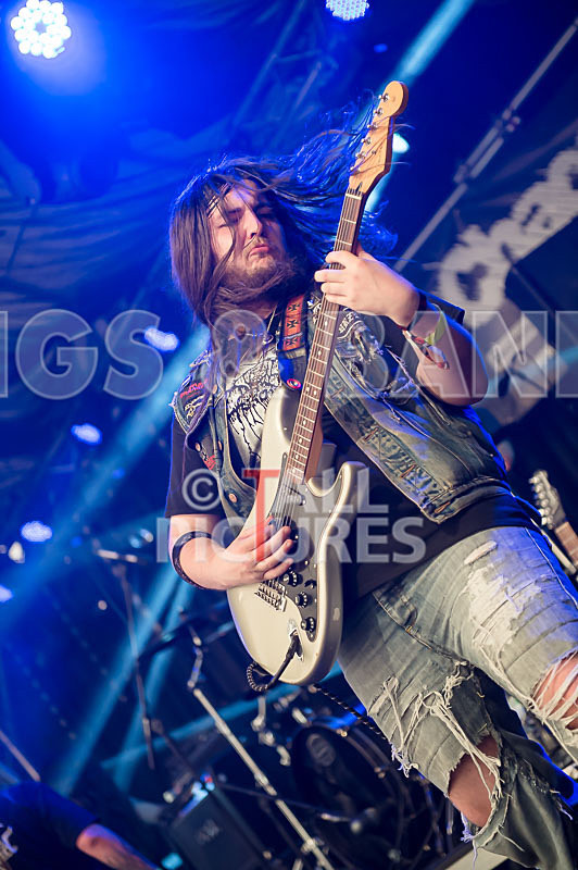 Stone Em All-219 - STONE EM ALL