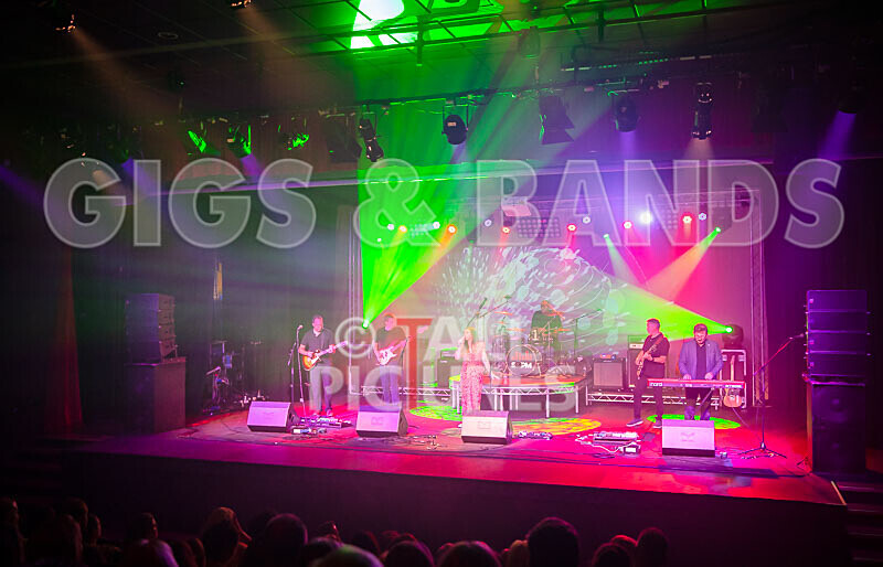 The Medical Specialist Group-6 - SoPM CORPORATE BATTLE OF THE BANDS_MEDICAL SPECIALIST GROUP