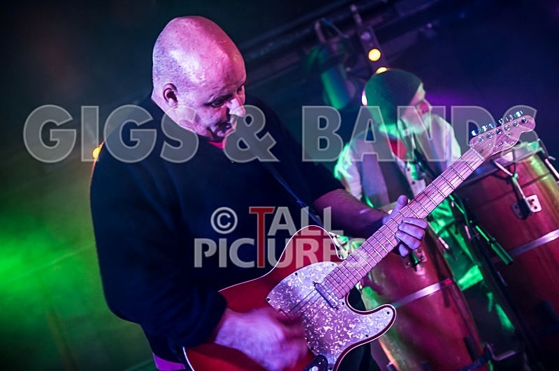 Ediths Head-49 - EDITH'S HEAD