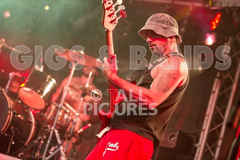 Chaos 2013_Harlequin Knights-25 - HARLEQUIN KNIGHTS