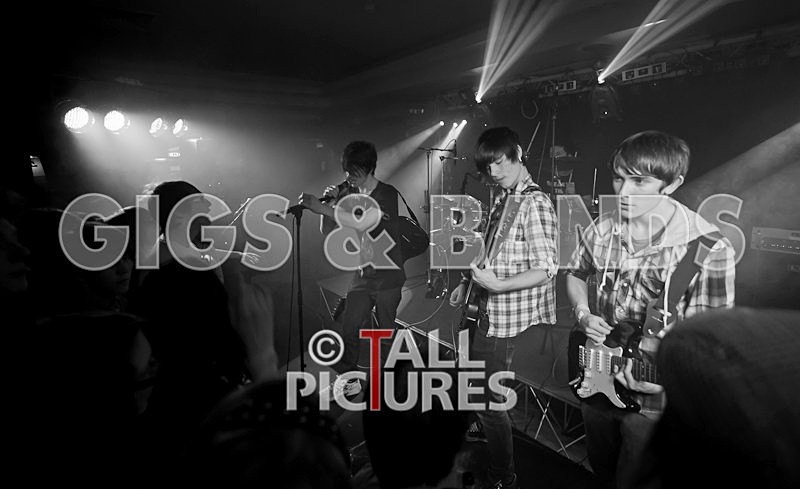 Feedback-88 - FEEDBACK at RoA-8