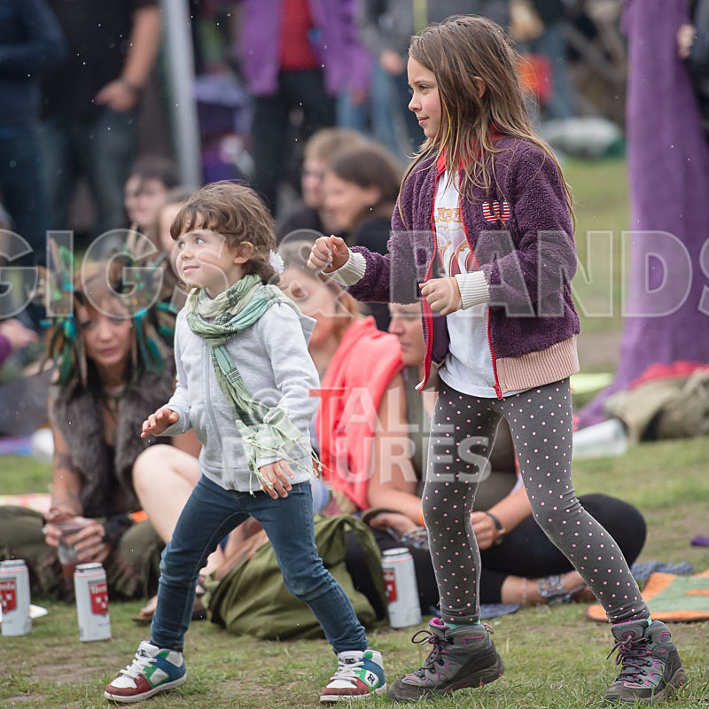 Vale Earth Fair 2015_Atmosphere-57 - VALE EARTH FAIR 2015_THE ATMOSPHERE