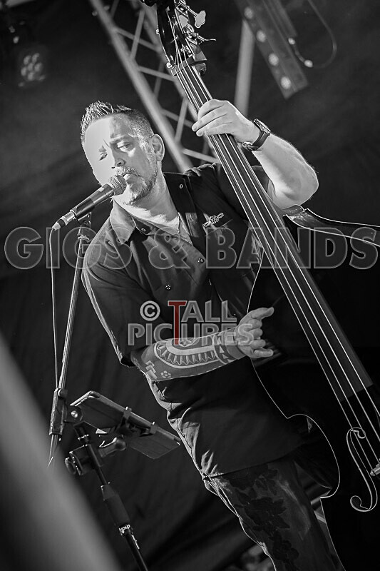 Silverados-82 - SILVERADOS