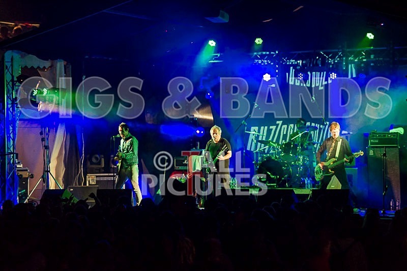 The Buzzcocks-42 - BUZZCOCKS