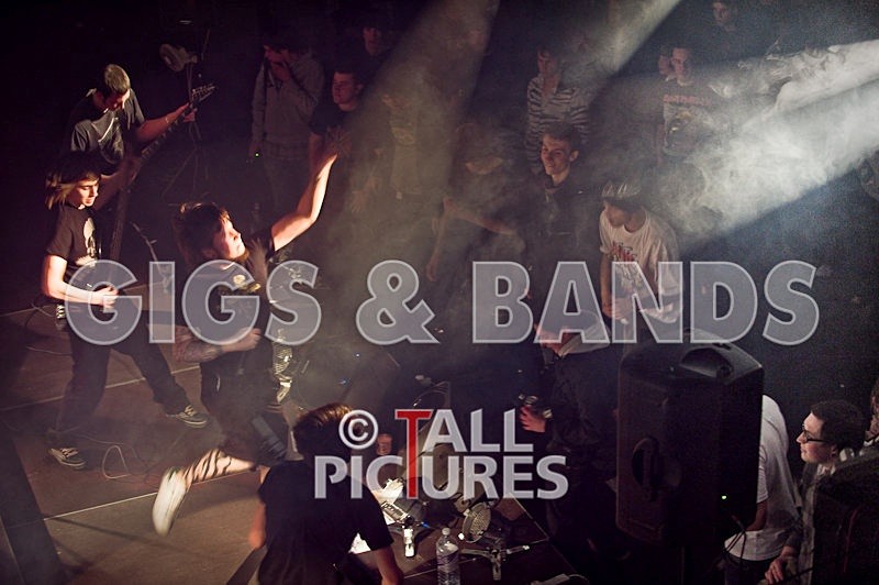 Brutus Stonefist-1 - BRUTUS STONEFIST at RoA-2