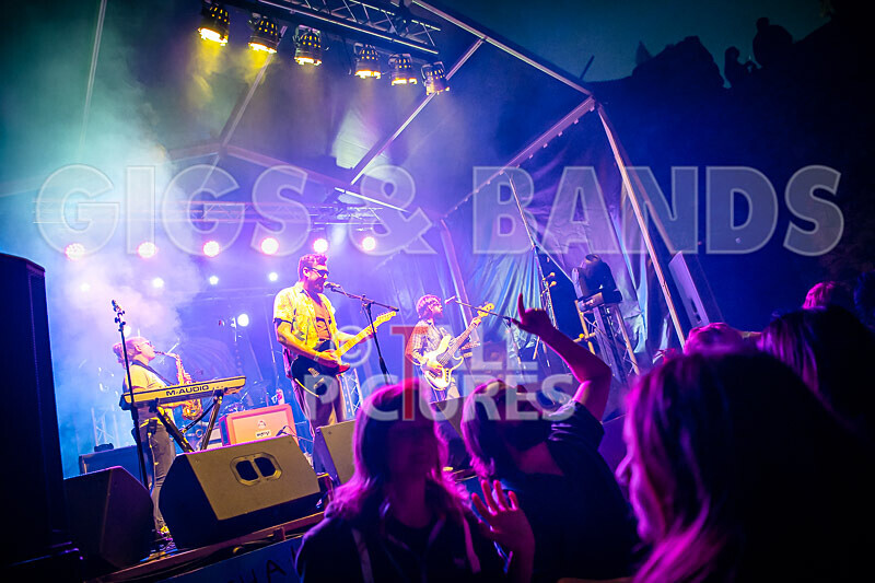 Honest Crooks-231 - HONEST CROOKS