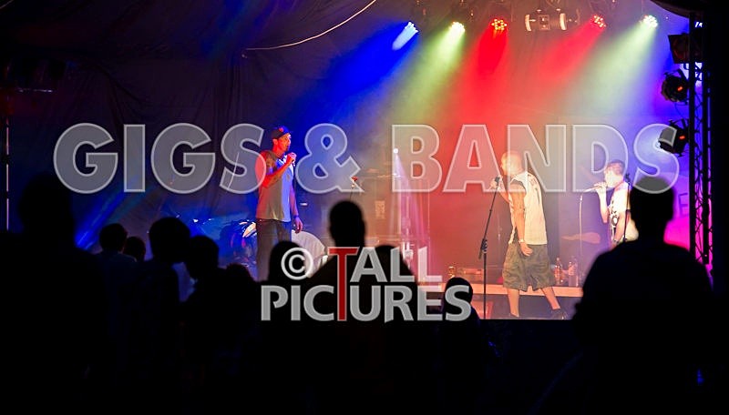 Asylum Seekas-32 - ASYLUM SEEKAS AT IVY CASTLE