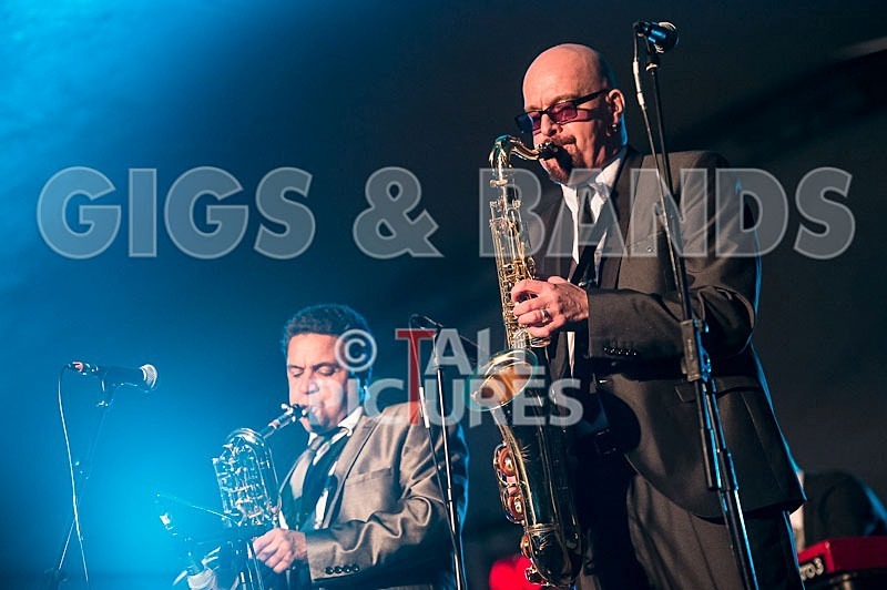 The Selecter-4 - THE SELECTER