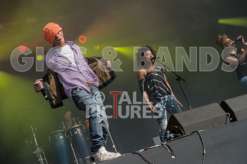 Stereo MCs-22 - STEREO MC's