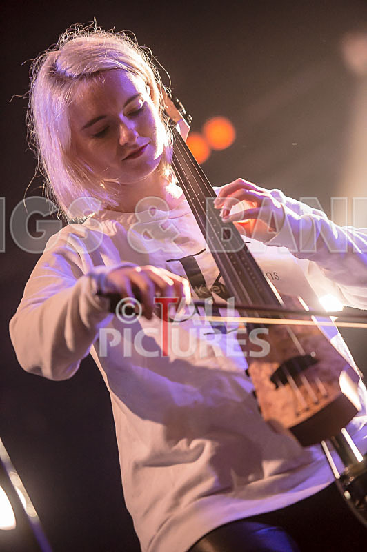 Clean Bandit-35 - CLEAN BANDIT