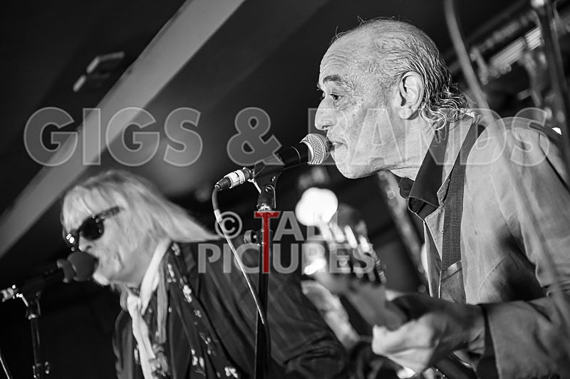 The Blockheads-55 - THE BLOCKHEADS