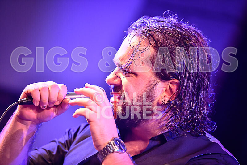 Michael Sullivan-1 - THE GUESTS