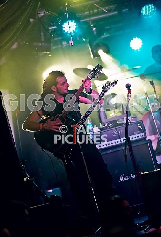 Breed77-24 - BREED77