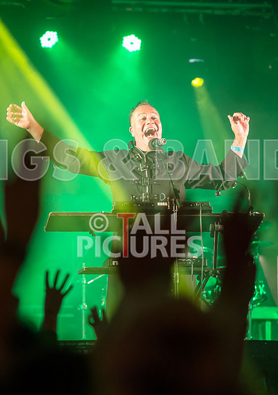 Fade to Grey-290 - FADE TO GREY