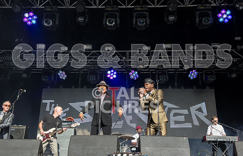 The Selecter-63 - THE SELECTER