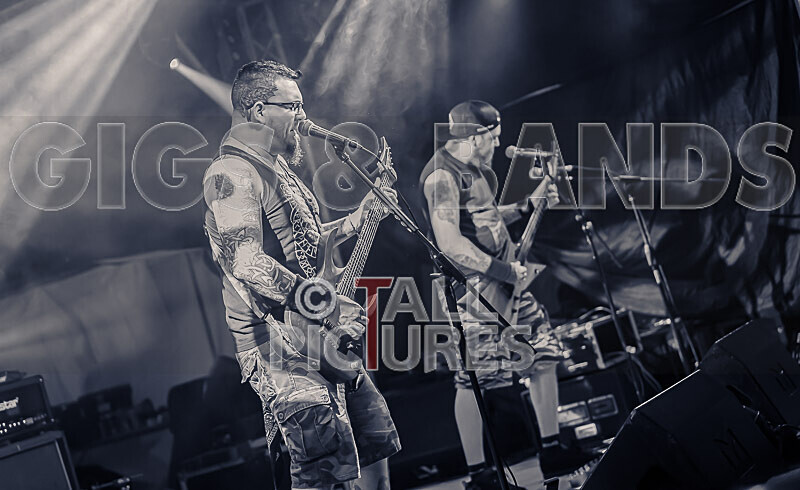 Demise of Sanity-252 - DEMISE OF SANITY