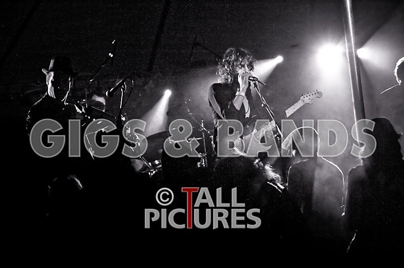 Greenman_Music-95 - GREENMAN CHAOS FESTIVAL 2008 BANDS