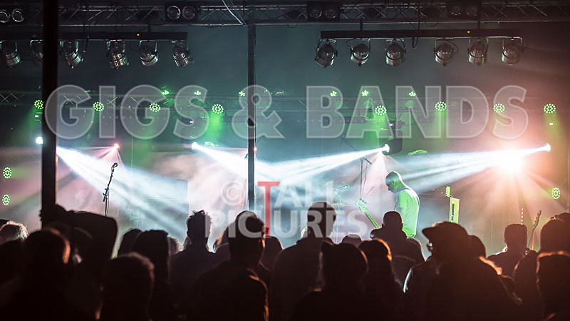 Falenizza Horsepower-84 - FALENIZZA HORSEPOWER