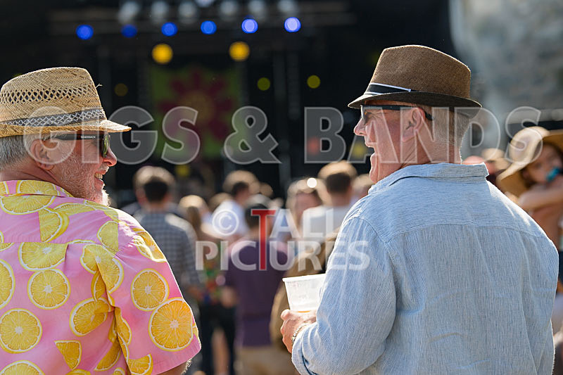 Vale Earth Fair 2017_SCENE-18 - VALE EARTH FAIR 2017_THE SCENE