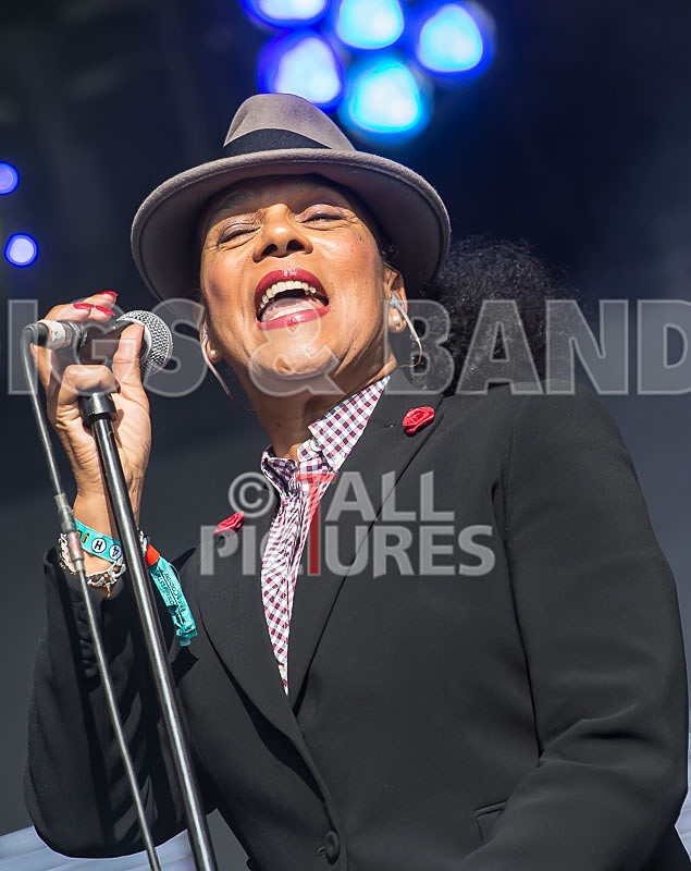 The Selecter-48 - THE SELECTER