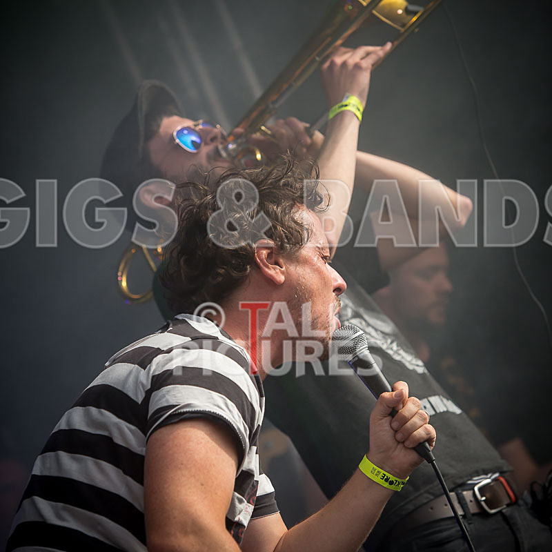 Pirate Party Brigade-38 - PIRATE PARTY PARADE