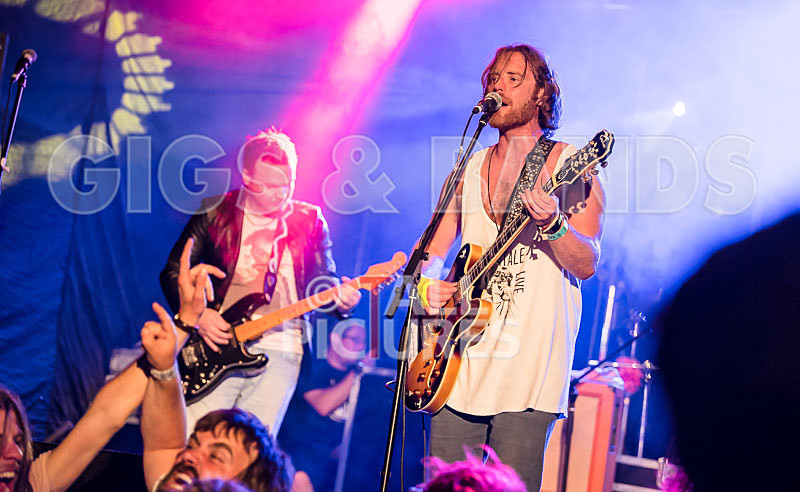 Near Bliss-45 - NEAR BLISS