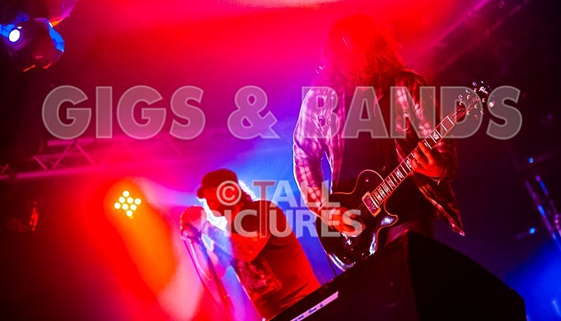 Viking Skull-14 - VIKING SKULL