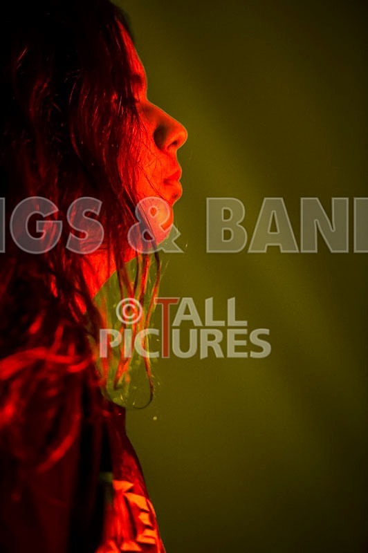 Stone Em All-110 - STONE EM ALL