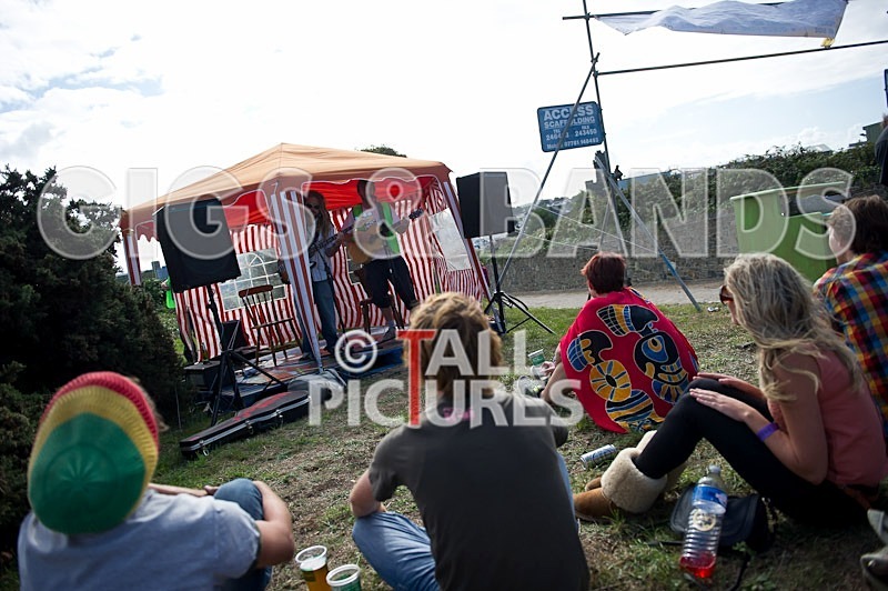 Vale Earth Fair 2011-1 - VALE EARTH FAIR 2011 - SCENE