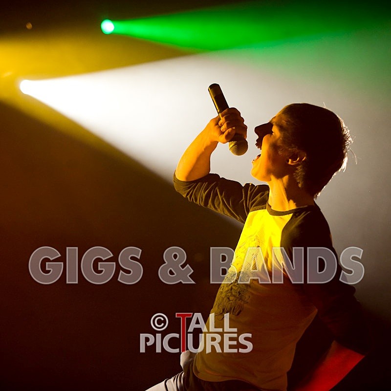 Elmer Henley-19 - ELMER HENLEY at RoA-2