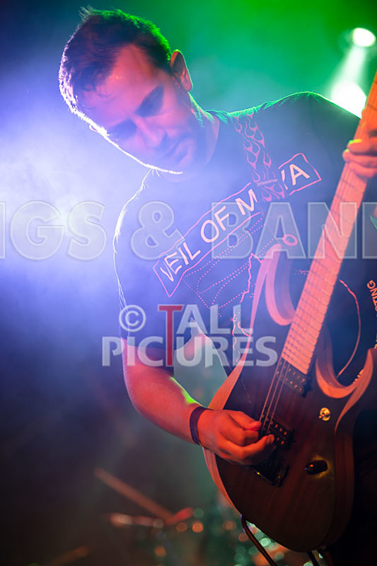 Granite Wolf-43 - GRANITE WOLF