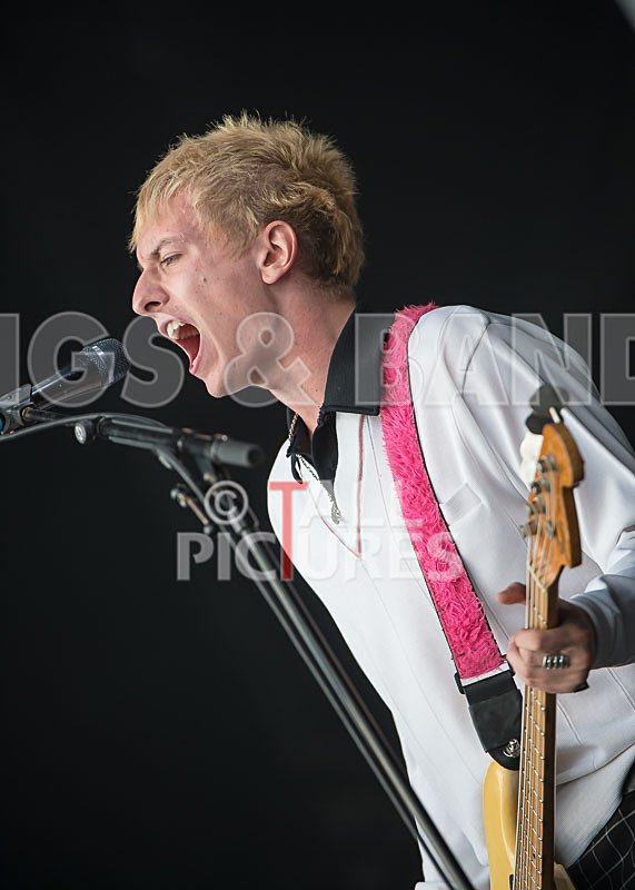 Wolf Alice-30 - WOLF ALICE