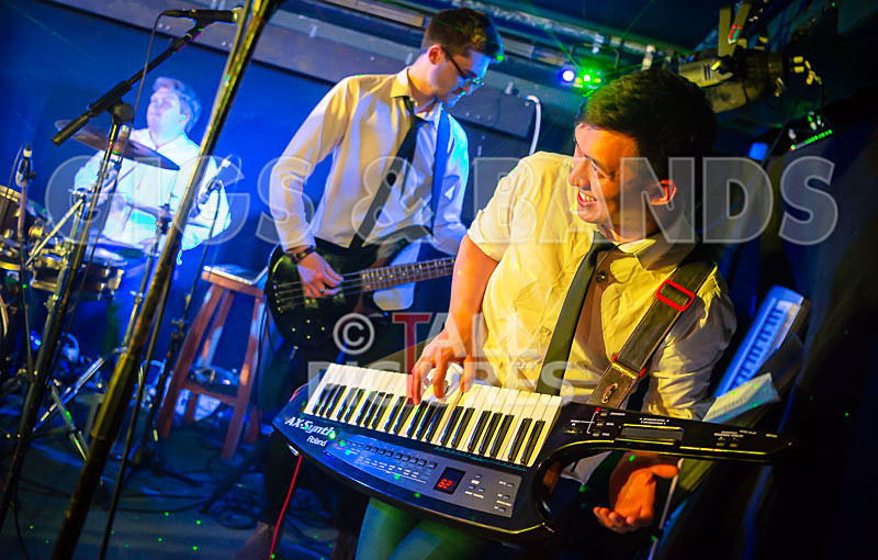 The Erawigs-75 - THE ERAWIGS