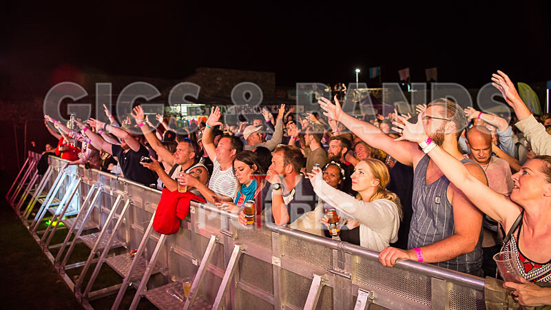 Vale Earth Fair 2017_SCENE-85 - VALE EARTH FAIR 2017_THE SCENE