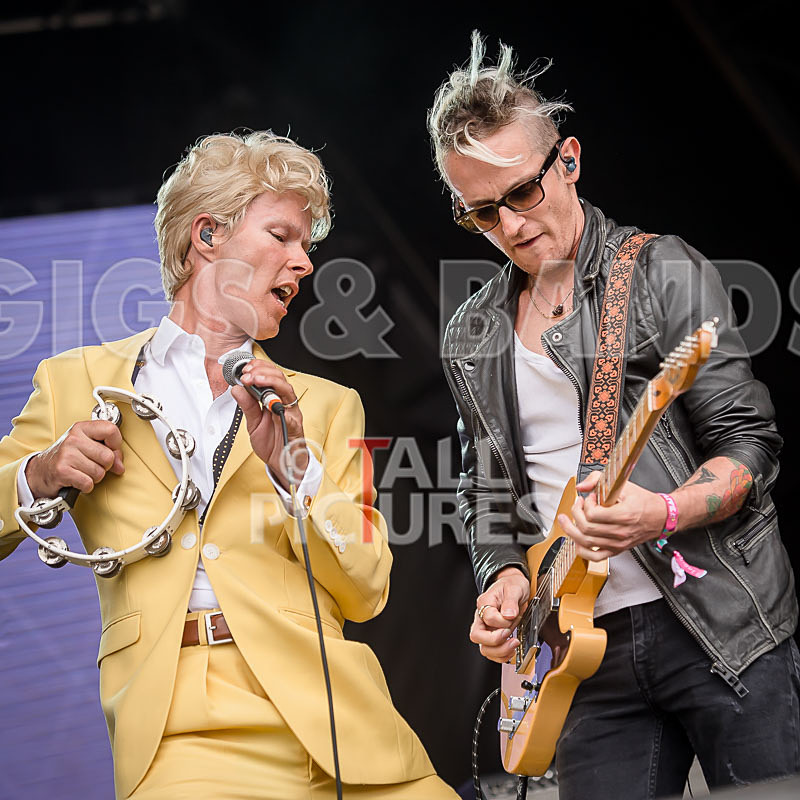 Absolute Bowie-16 - ABSOLUTE BOWIE