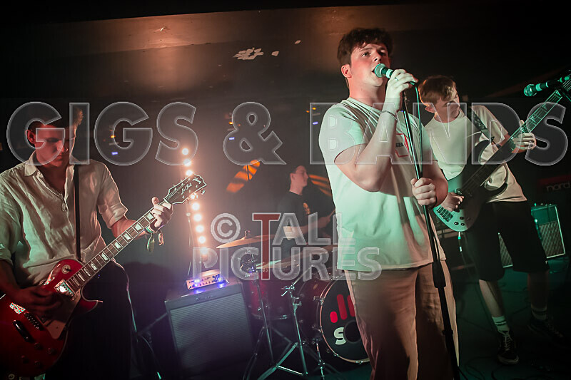 Black Dog-28 - BLACK DOG