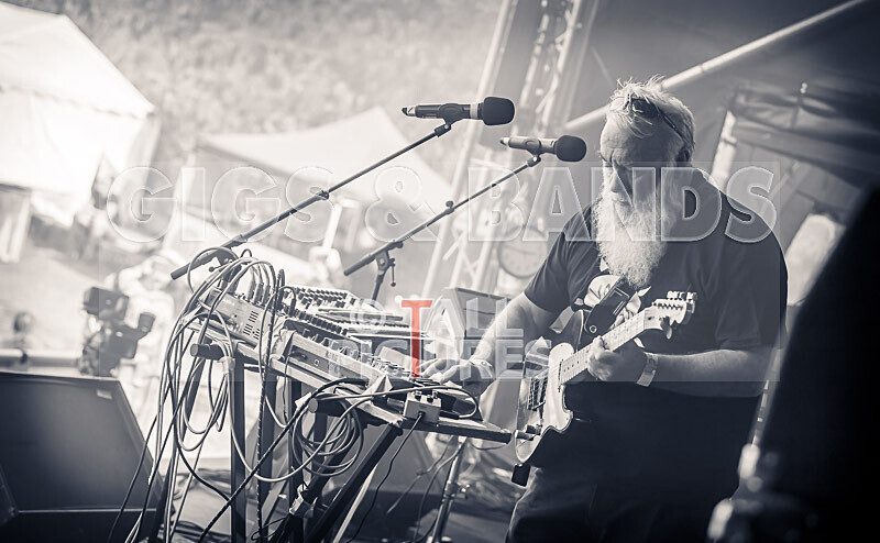 Its Own Animal-51 - ITS OWN ANIMAL