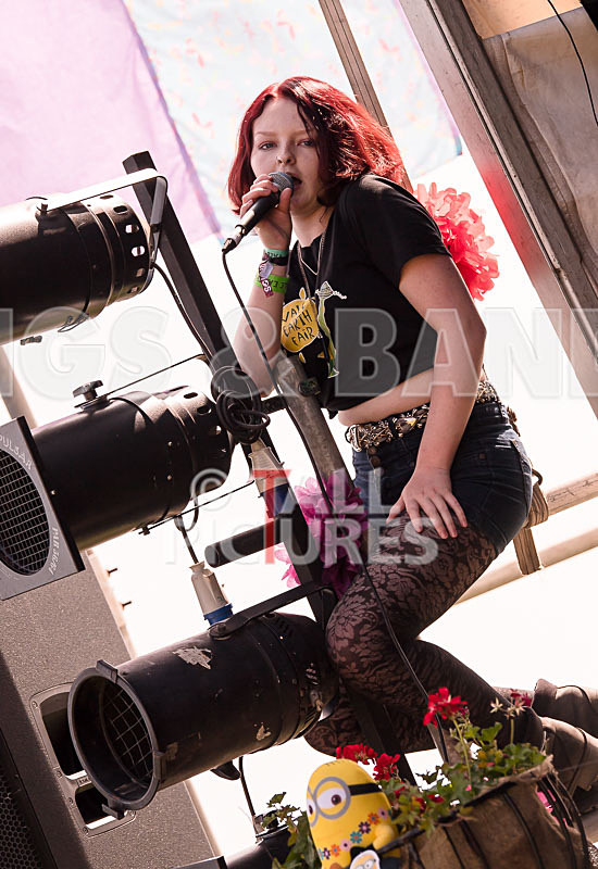 Vale Earth Fair 2017_SCENE-36 - VALE EARTH FAIR 2017_THE SCENE