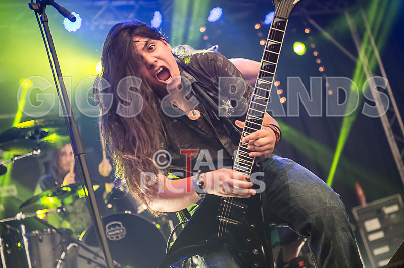 Stone Em All-238 - STONE EM ALL