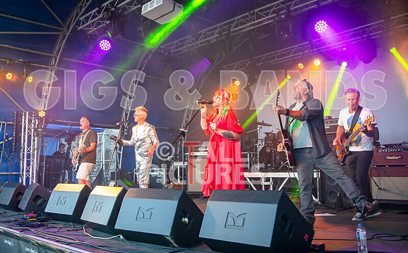 The Sacred Hearts-110 - THE SACRED HEARTS