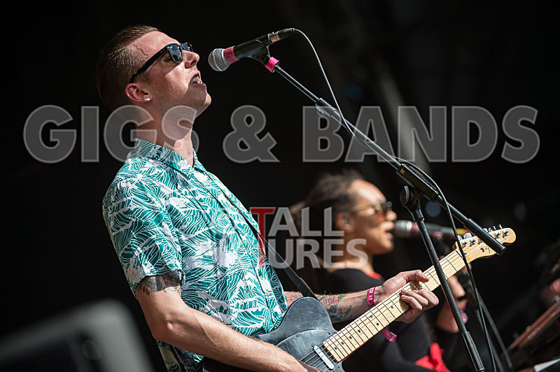 The Skints-24 - THE SKINTS