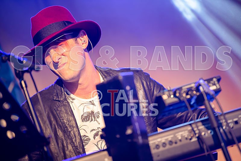 The Bowie Experience-55 - THE BOWIE EXPERIENCE