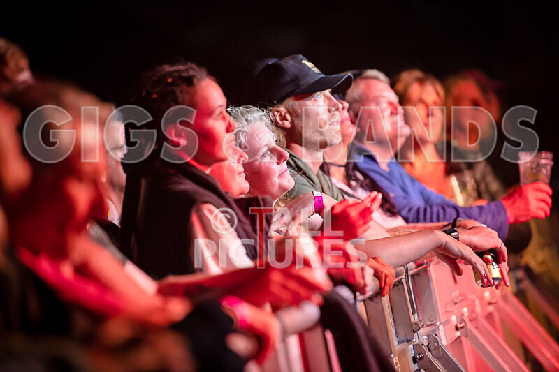 Ruts DC-56 - RUTS DC