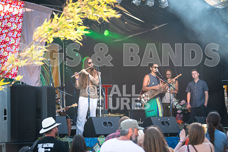 Gnawa Hash Fusion-6 - GNAWA HASH FUSION